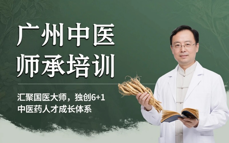 广州中医师承专业培训班