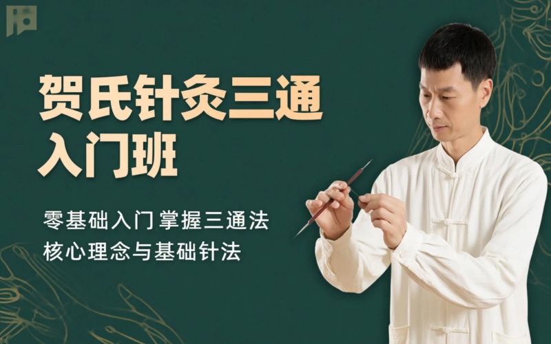 郑州贺氏针灸三通基础入门班