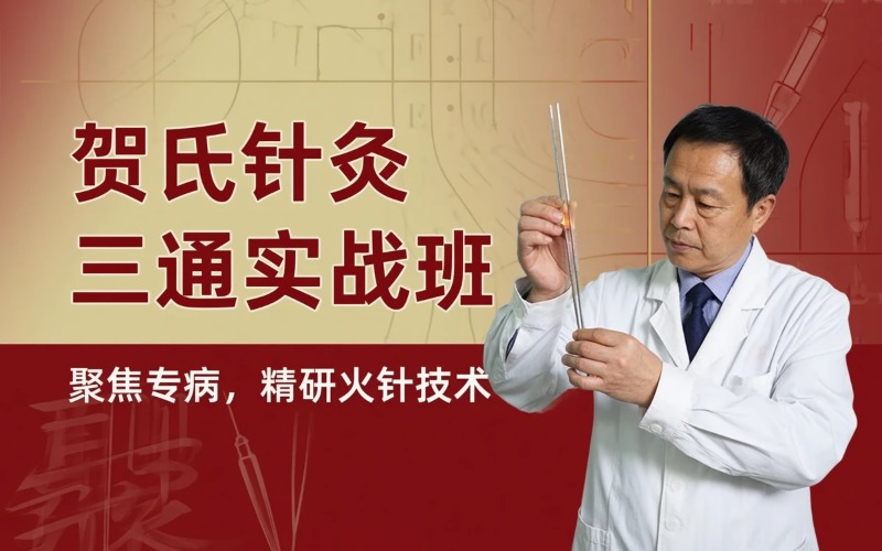 郑州贺氏针灸三通各病实战班