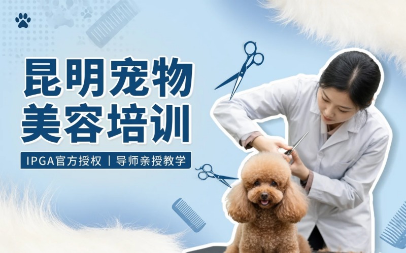 昆明宠物美容培训招生简章