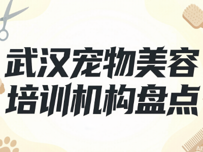 2026武汉5家热门宠物美容培训机构盘点：学费信息汇总
