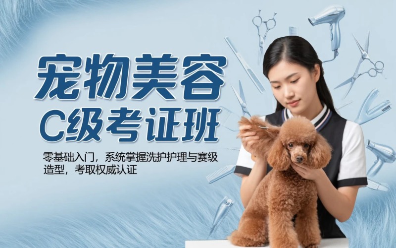 昆明宠物美容C级考证培训班