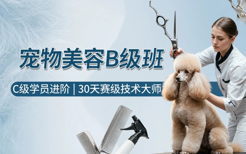 昆明宠物美容B级培训班