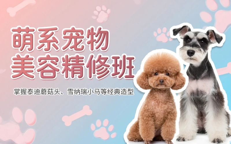 昆明宠物美容萌系精修培训班