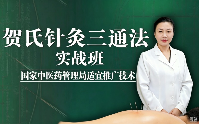 《贺氏针灸三通法》各病实战班