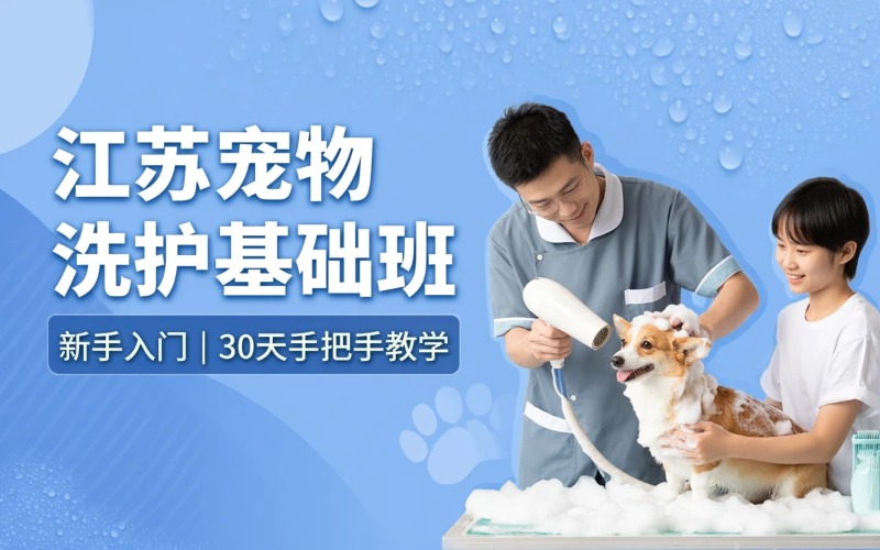 江苏宠物洗护与造型修剪初级基础培训班
