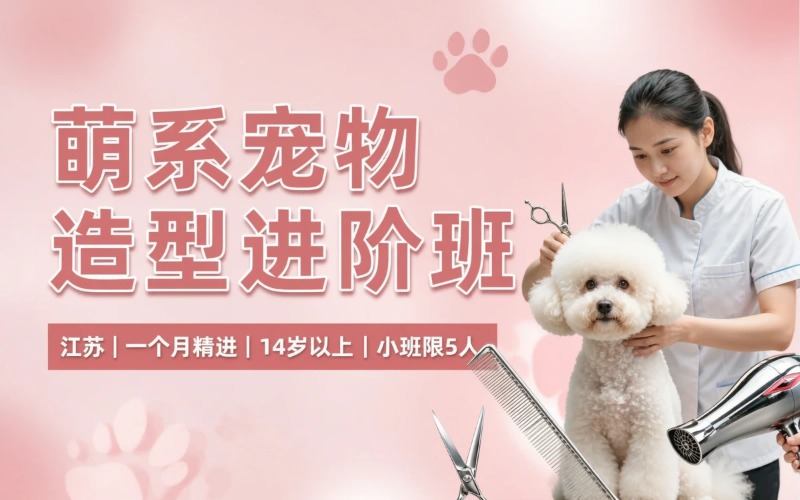 江苏宠物洗护与造型修剪进阶萌系培训班
