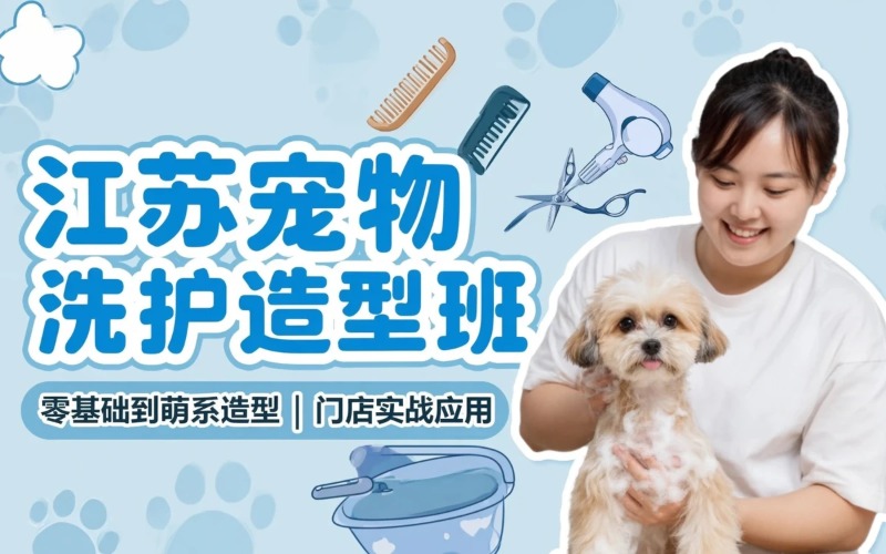 江苏宠物洗护与造型修剪连读加强培训班