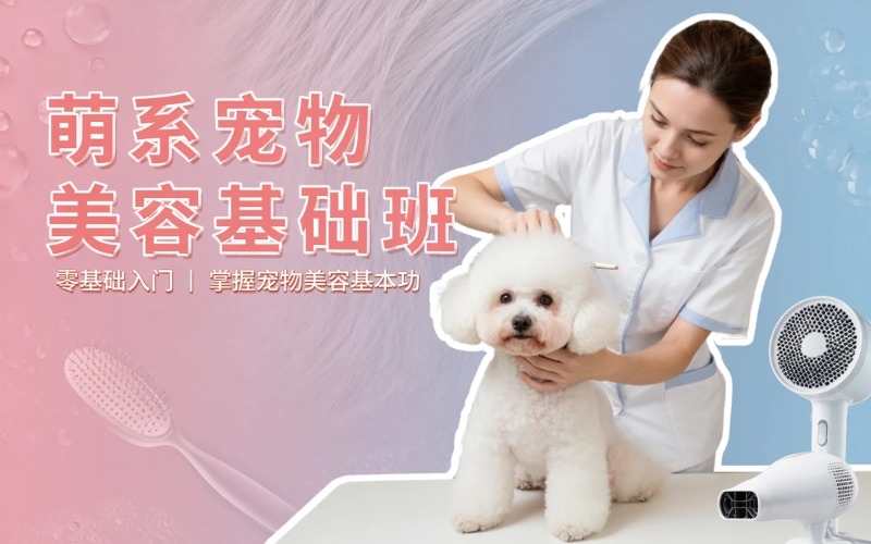 大连宠物美容萌系基础培训班