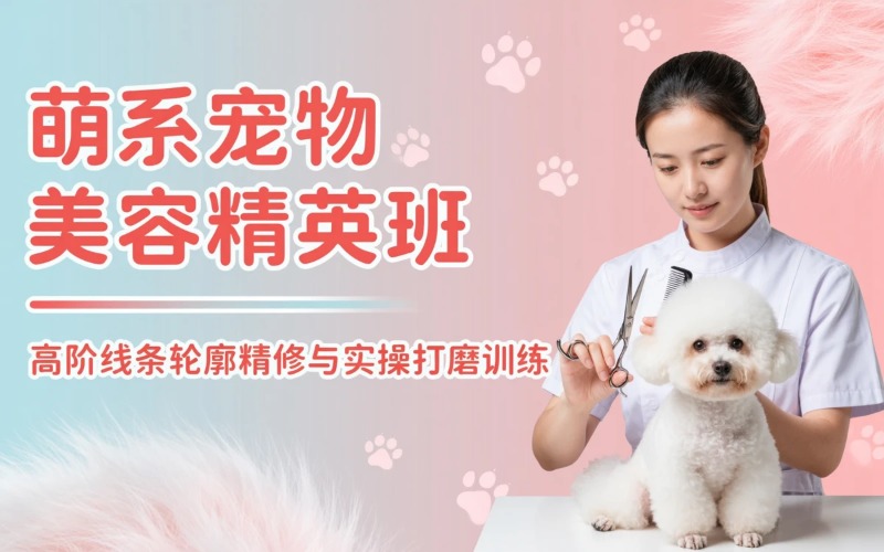 大连宠物美容萌系精英培训班