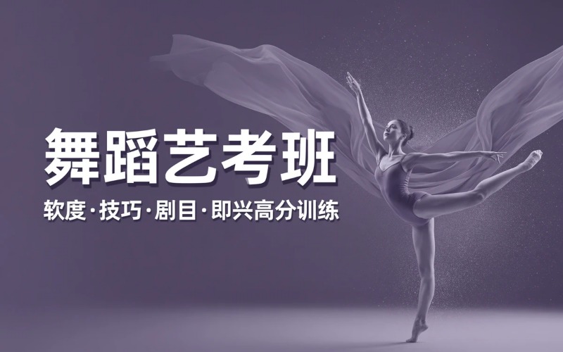 舞研艺考培训中心