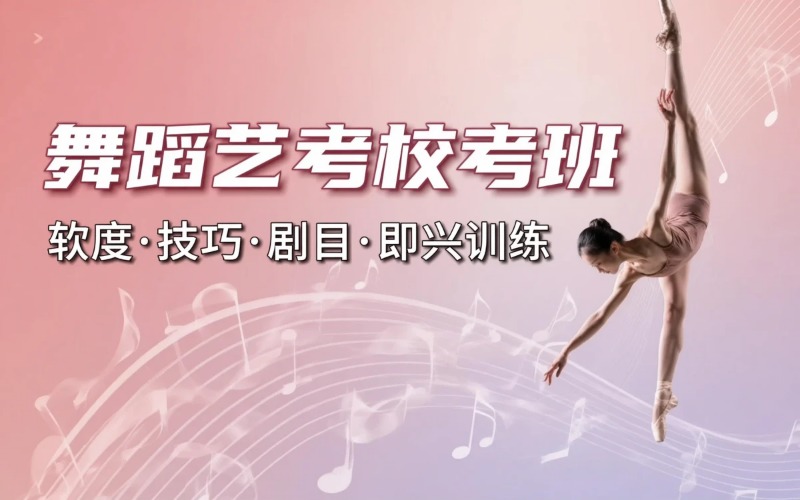舞研艺考培训中心