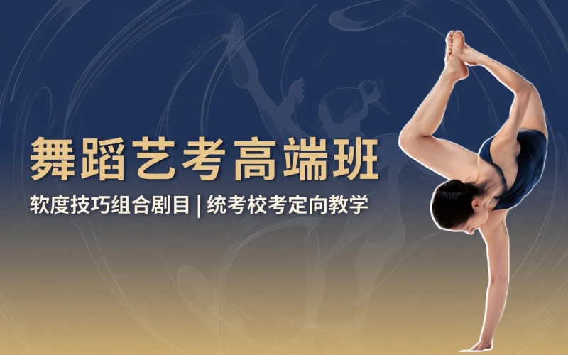 舞研艺考培训中心