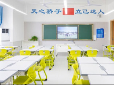 艺考文化课+美术联考,玉林天立高级中学2026年招生简章