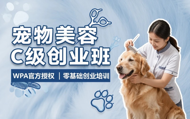 杭州宠物美容培训C 级零基础创业班