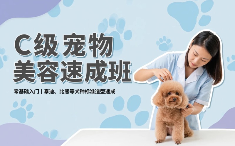 青岛宠物美容C级速成班