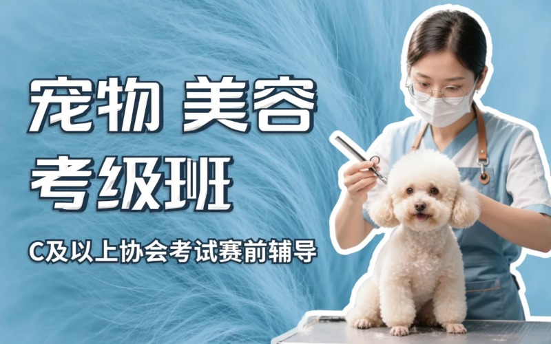 青岛宠物美容比赛进修班