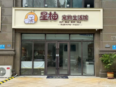 郑州星柚宠物美容培训工作室环境图，报读先了解（含路线）