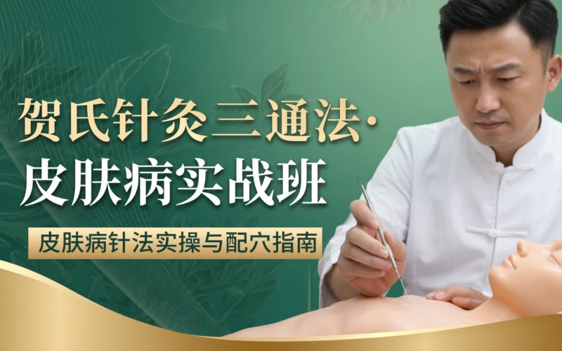 《贺氏针灸三通法》郑州皮肤病实战班