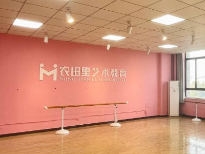 芜湖农田里秦君艺考培训中心的师资力量如何