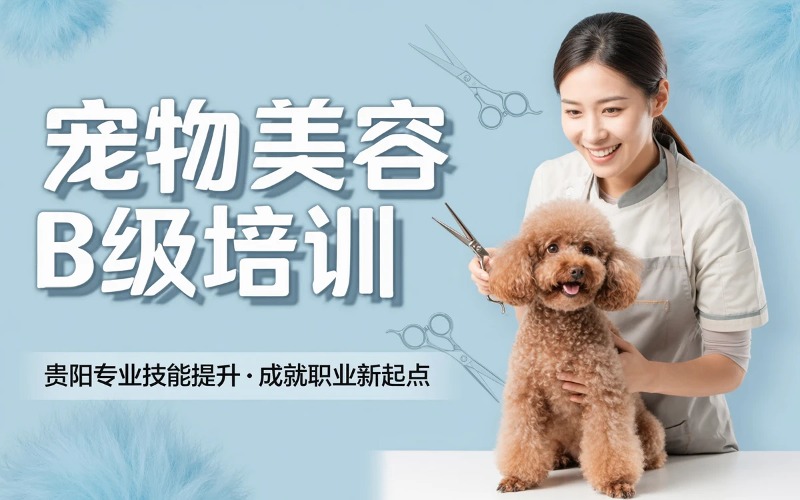 贵阳宠物美容B级培训课程