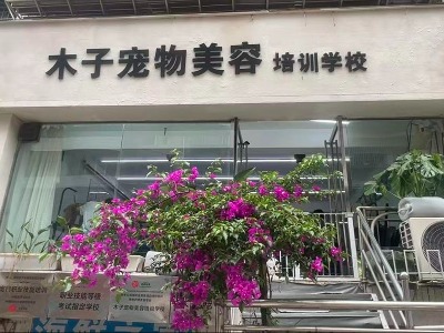 贵阳木子宠物美容培训学校环境,选校先看校(含来校路线)