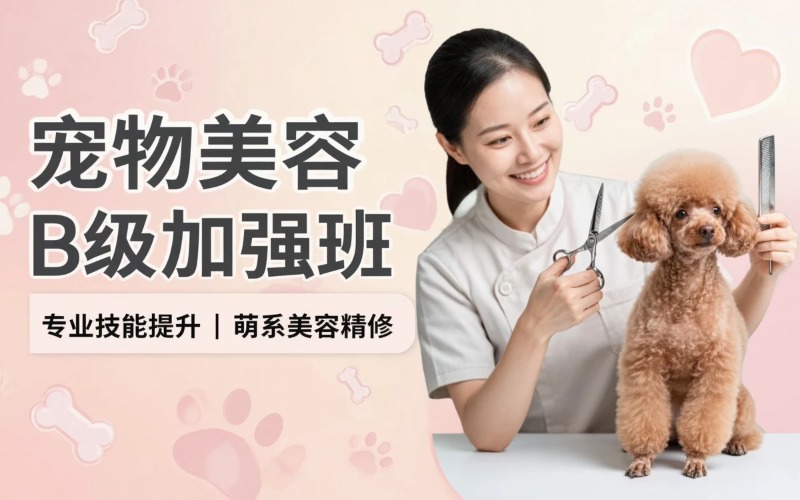 佛山宠物美容B级加强班