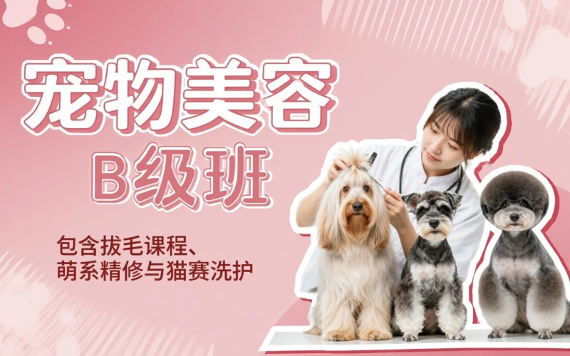佛山宠物美容B级全能班