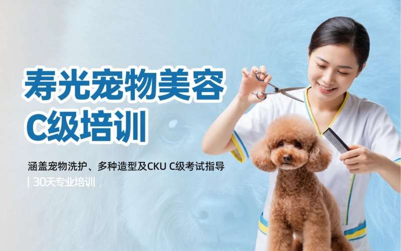寿光宠物美容C级培训课程