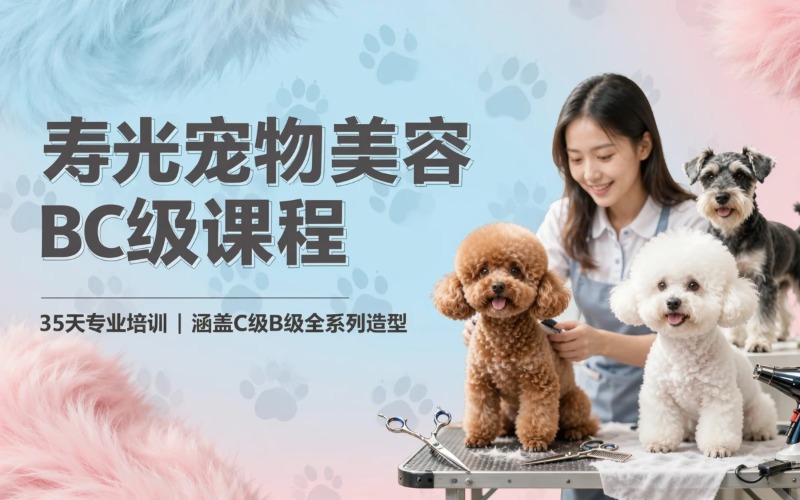 寿光宠物美容BC级培训课程
