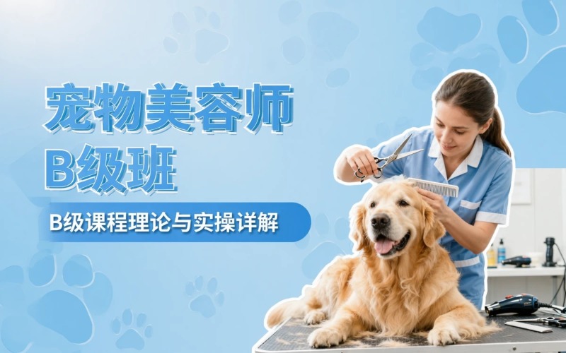 郑州宠物美容师培训B级班