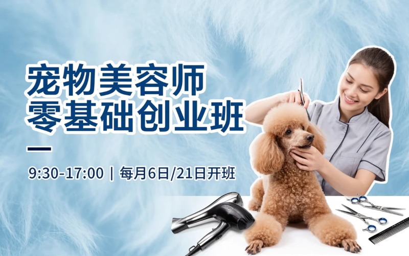 郑州宠物美容师C级零基础创业班