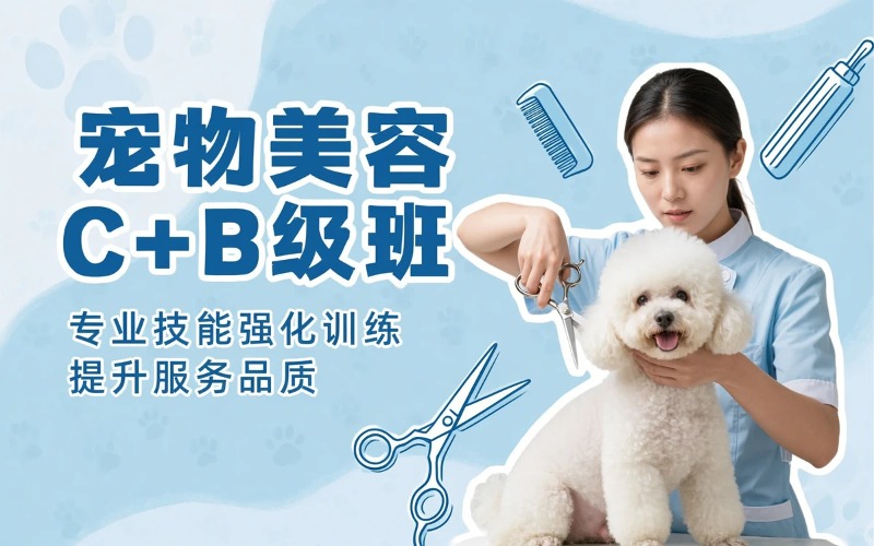 佛山洛亚宠物美容培训学校