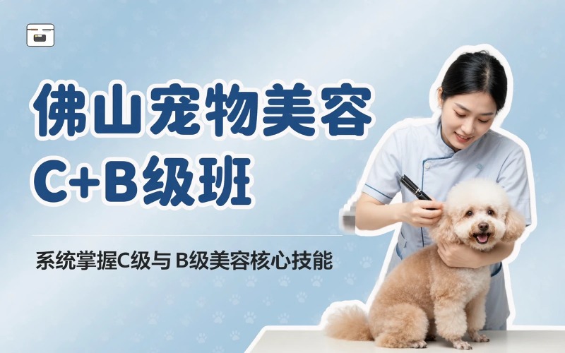 佛山洛亚宠物美容培训学校