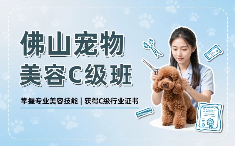 佛山洛亚宠物美容培训学校