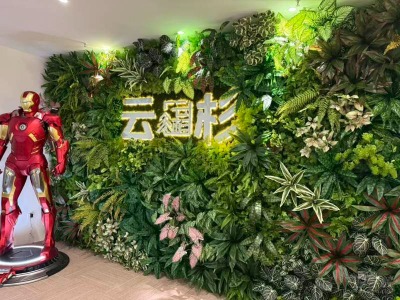 临沂云杉留学申请服务:英美澳加港新本硕及高中阶段申请服务
