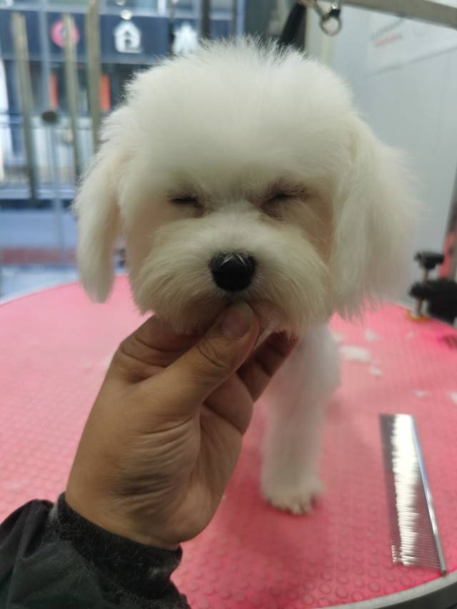 环境/教学