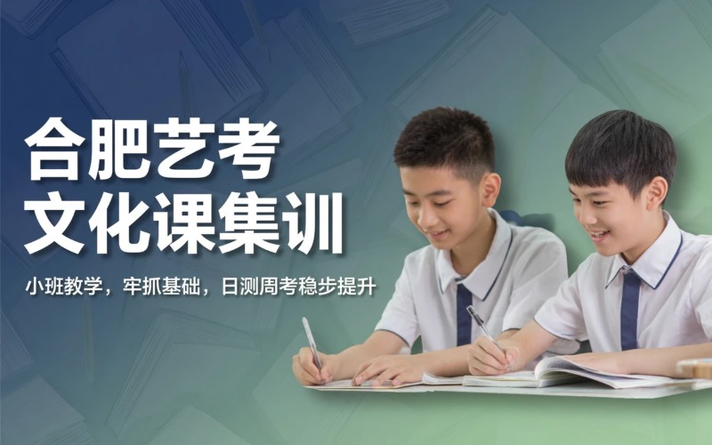 合肥艺考文化课全日制集训班