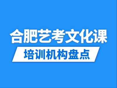 2026合肥11家艺考文化课培训机构盘点