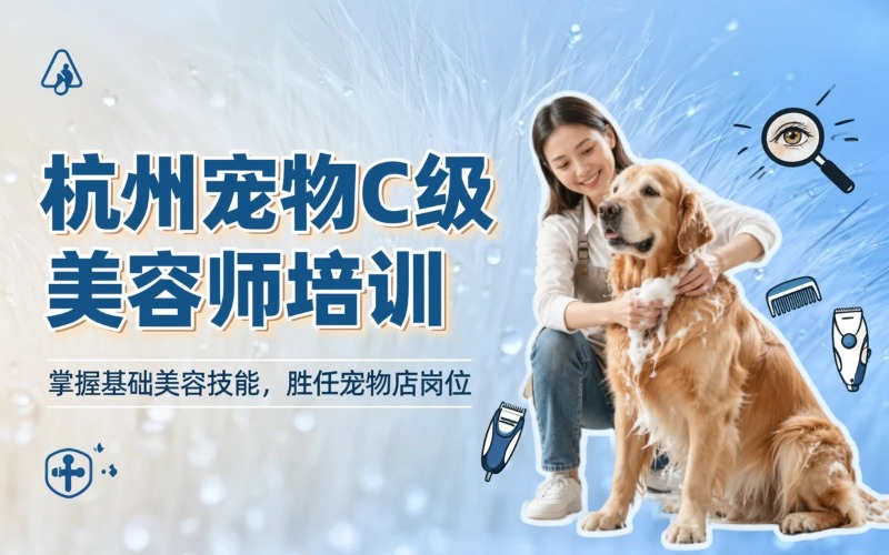 杭州宠物 C 级美容师培训课程