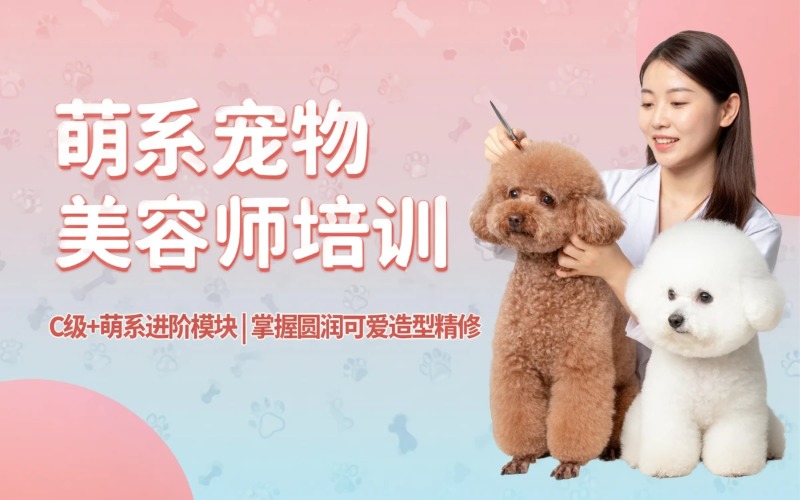杭州宠物C级+萌系造型美容师培训课程