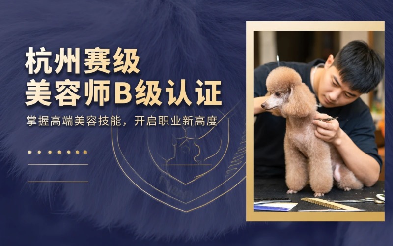 杭州宠物B级赛级美容师培训课程