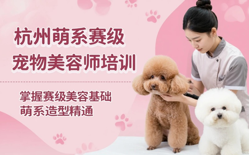 杭州宠物C级+萌系+B级赛级美容师培训课程