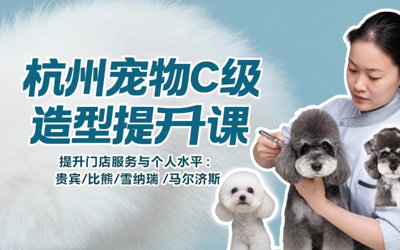 杭州宠物 C 级多犬种造型提升培训课程
