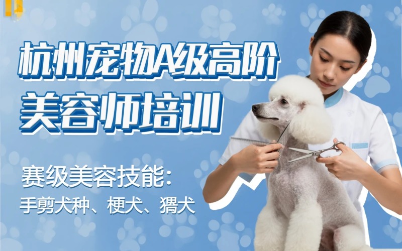 杭州宠物A级高阶赛级美容师培训课程