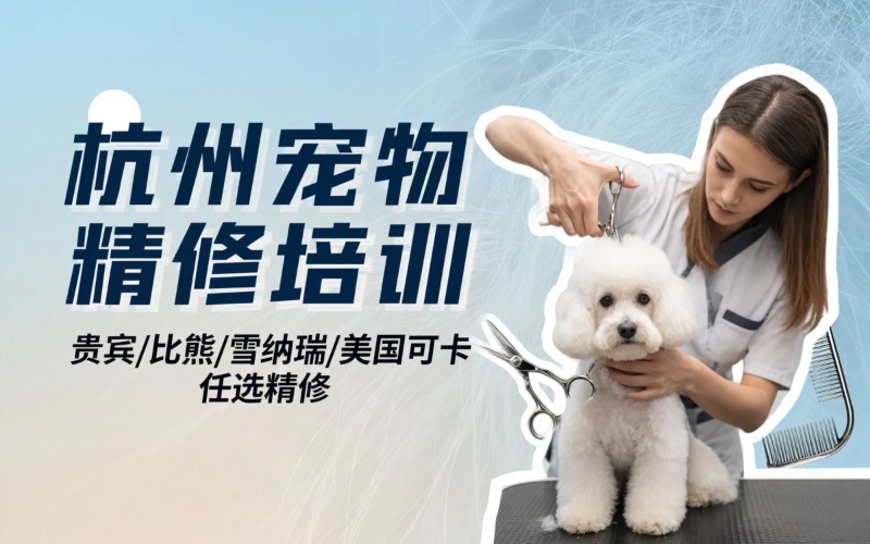杭州宠物特色犬种精修专项培训课程