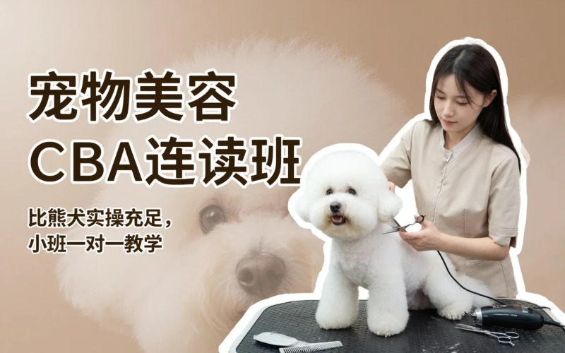 济南宠物美容CBA连读套餐班