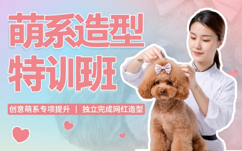 济南宠物萌系造型萌宠培训班