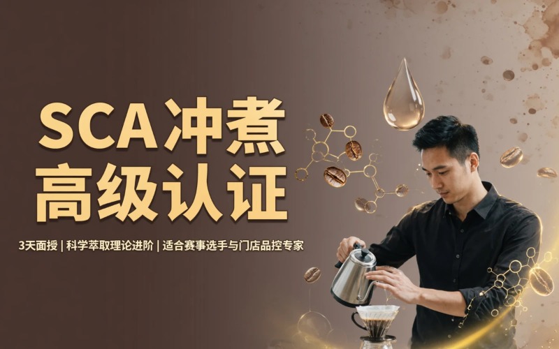 湛江SCA冲煮技能高级认证课程