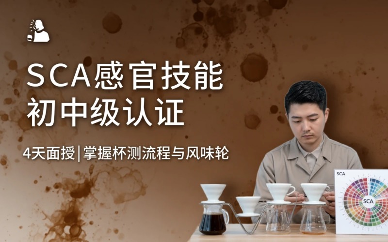 湛江SCA感官技能初中级认证课程